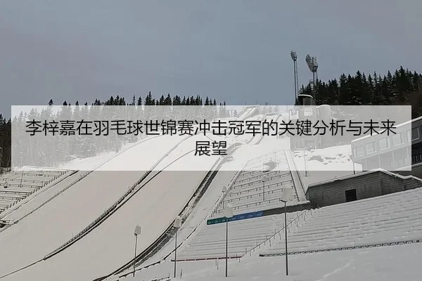 李梓嘉在羽毛球世锦赛冲击冠军的关键分析与未来展望